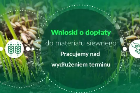 Wnioski o dopłaty do materiału siewnego. Pracujemy nad wydłużeniem terminu. Wschodzące ziarna symbolizują przyszłe plony.