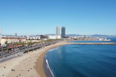 Słoneczna plaża Barceloneta z turkusową wodą, palmami i nowoczesnymi budynkami w tle.