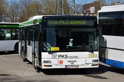 Ile jedzie autobus z Gdańska do Krynicy Morskiej? Czas i porady