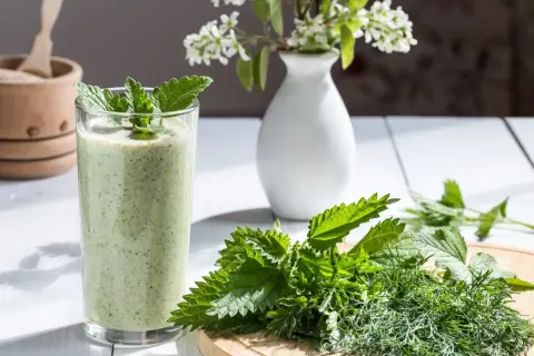 Zielony koktajl z pokrzywy, ozdobiony miętą, obok świeżych ziół na desce. Pesto z pokrzywy w szklance.