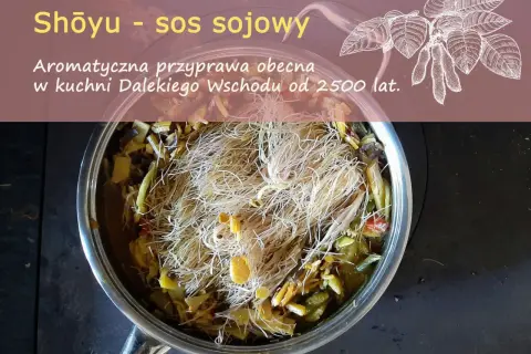 Aromatyczna przyprawa Shoyu - sos sojowy, obecna w kuchni Dalekiego Wschodu od 2500 lat, gotuje się w garnku z warzywami i makaronem.