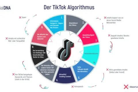 Der TikTok-Algorithmus erklärt, was Social Media ist: Interessen, Wiedergabezeit, Interaktionen und mehr bestimmen die Sichtbarkeit.