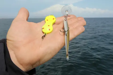 Köder für Steinbutt angeln Ostsee: ein gelber Wobbler und ein kleiner Fisch als Köder.