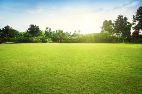 Czy można sprzedać działkę zaraz po zakupie? Oto ważne przepisy