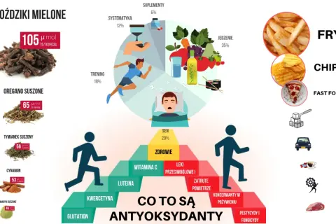 Grafika przedstawia piramidę zdrowia i koło, ilustrujące źródła i znaczenie antyoksydantów. Wymienione są m.in. goździki, oregano, cynamon, sen, trening, jedzenie, witamina C, luteina, kwercetyna.