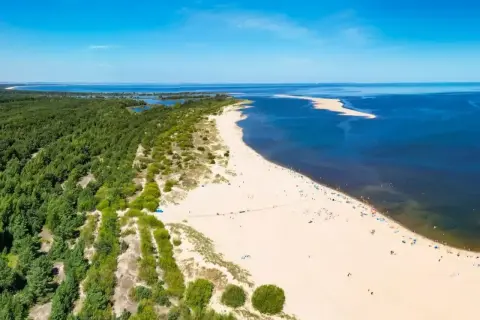 Szeroka, piaszczysta dzika plaża z zielonym lasem sosnowym po lewej i błękitnym morzem po prawej. W oddali widać piaszczystą mierzeję.