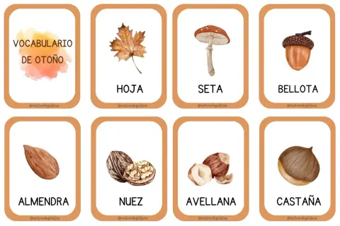Tarjetas con vocabulario de otoño: hoja, seta, bellota, almendra, nuez, avellana y castaña.