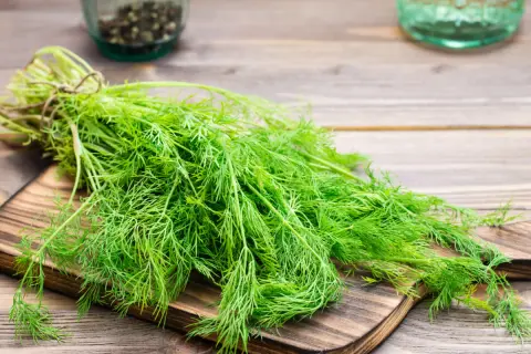 Un manojo de eneldo fresco sobre una tabla de cortar. El eneldo para que sirve es muy versátil en la cocina, aportando sabor a pescados y ensaladas.