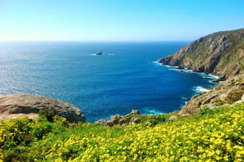 Un mar azul intenso baña las costas rocosas de Finisterre. Flores amarillas cubren la ladera, invitando a soñar con sus playas salvajes.