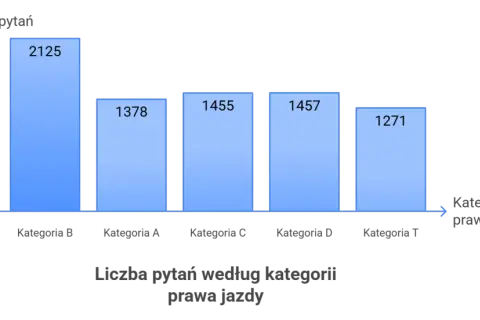Ile jest wszystkich pytań na prawo jazdy? Zaskakujące fakty i kategorie