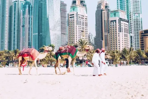 Dwa wielbłądy na plaży w Dubaju, z palmami i drapaczami chmur w tle. Zastanawiasz się, ile trwa lot do Dubaju?