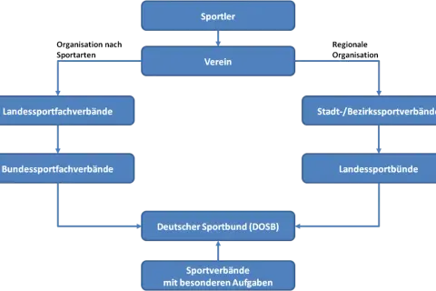 Organigramm des deutschen Sports: Sportler, Vereine, Fachverbände und der DOSB als Dachorganisation.