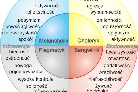 Jak opisać swoją osobowość, aby zrobić wrażenie na innych