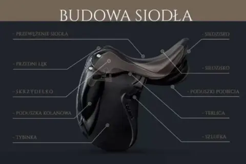 Z czego składa się siodło? Kluczowe elementy, które musisz znać