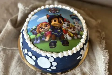 En hemmagjord Paw Patrol tårta med alla valparna på, redo för ett äventyr! Perfekt för ett litet fan.