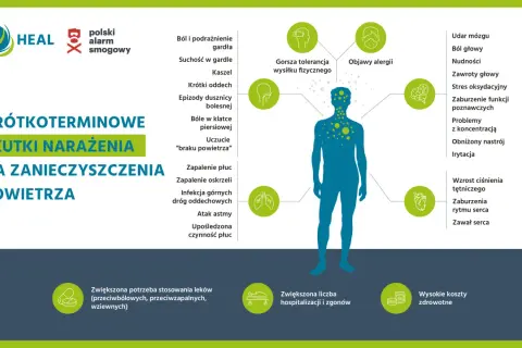 Ilustracja pokazuje skutki krótkoterminowego narażenia na zanieczyszczenia powietrza, od bólu gardła po problemy z sercem i mózgiem.
