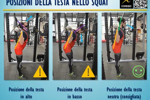 Tre posizioni della testa durante lo squat: in alto (sconsigliata), in basso (sconsigliata) e neutra (consigliata).