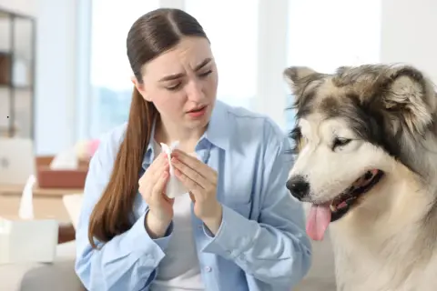 Frau hält Taschentuch, während ihr Hund niest.