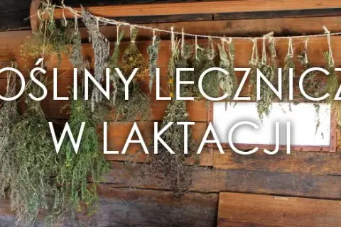Szałwia na laktację: Ile pić, by bezpiecznie wyciszyć mleko?