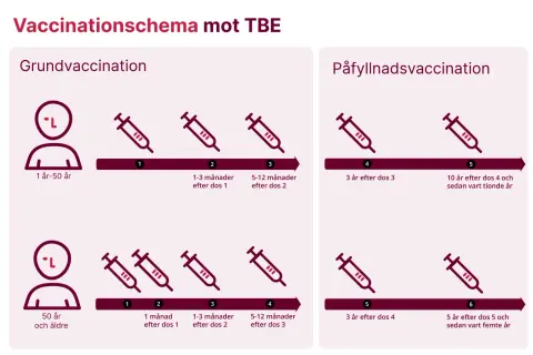 Schema för TBE-vaccination, grundvaccination och påfyllnad. Biverkningar tbe vaccin barn är inte specificerade, men schemat visar doser för barn från 1 år.