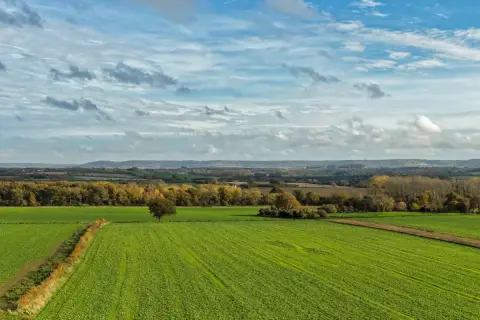 Zielone pola uprawne, drzewa i pagórkowaty krajobraz pod chmurami. Taka ziemia to cenny zasób, który wpływa na gus cenę ziemi.