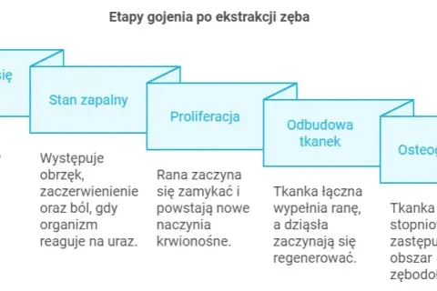 Regeneracja dziąsła po ekstrakcji: Szybkie gojenie i bezpieczeństwo