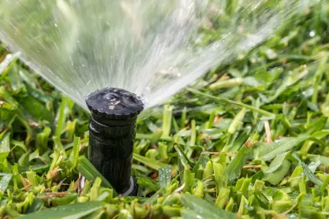 A sprinkler head sprays water onto lush green grass. This image illustrates how to replace sprinkler head for efficient lawn watering.