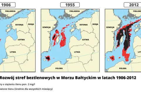 Gdzie jest Bałtyk? Odkryj jego lokalizację i otaczające kraje