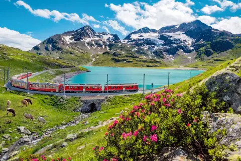 Czerwony pociąg jedzie malowniczą trasą nad turkusowym jeziorem, z górami w tle. Idealny widok dla posiadaczy Swiss Travel Pass.