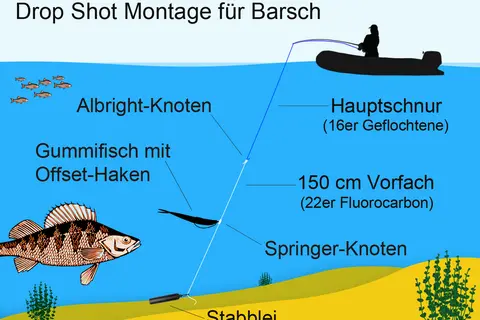 Drop-Shot-Montage für Barsch: Albright-Knoten, Gummifisch mit Offset-Haken, Hauptschnur, Vorfach, Springer-Knoten, Stabblei. Tolle Tipps für dein Havel Angeln!