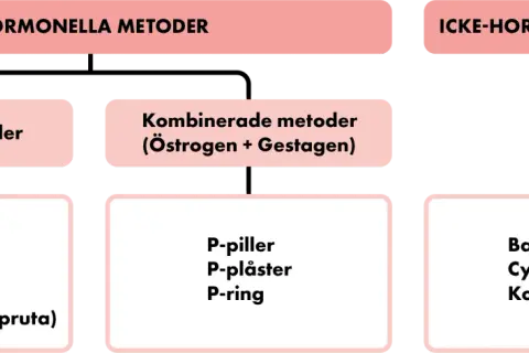 Diagram showing hormonal and non-hormonal contraceptive methods, with categories and examples.
