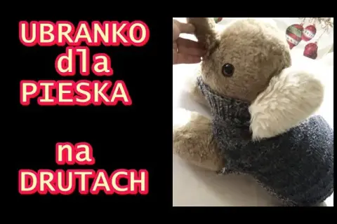 Jak zrobić ubranko dla psa ze swetra – proste kroki, które zachwycą