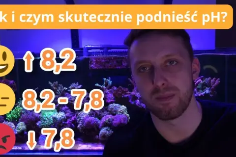 Jak podnieść KH w akwarium: 5 skutecznych metod i wskazówki