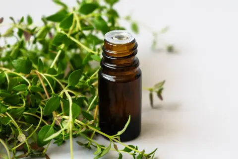 Une petite fiole ambrée, prête à contenir un précieux sirop de thym maison, entourée de brins frais de la plante.