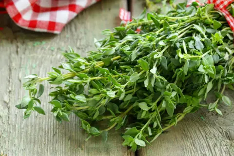 Ein Bündel frischer Thymian, gebunden mit rot-weiß kariertem Band, verströmt seinen aromatischen Geschmack.