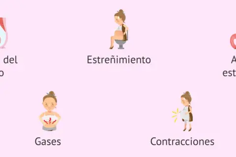 Ilustraciones de causas comunes de dolor abdominal en el embarazo: presión uterina, estreñimiento, acidez, gases y contracciones.