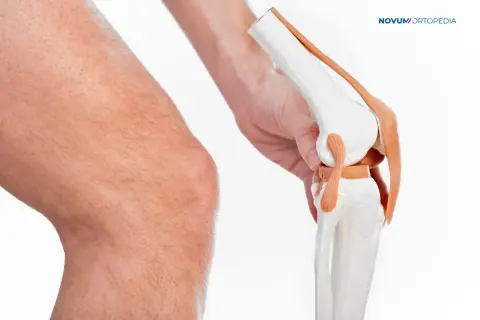 Model anatomiczny stawu kolanowego trzymany przez dłoń obok ludzkiego kolana.