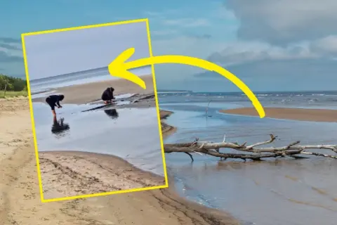 Dwie osoby badają płytką wodę na piaszczystej plaży. Morze Bałtyckie jest częścią oceanu, a ten widok pokazuje jego spokojne oblicze.