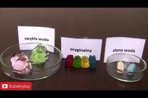 Jak żelki rosną? Eksperyment z osmozą dla dzieci prosty przewodnik