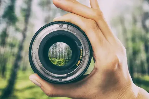 Une main tient un objectif de photographe, révélant une forêt verdoyante et ensoleillée à travers le verre.