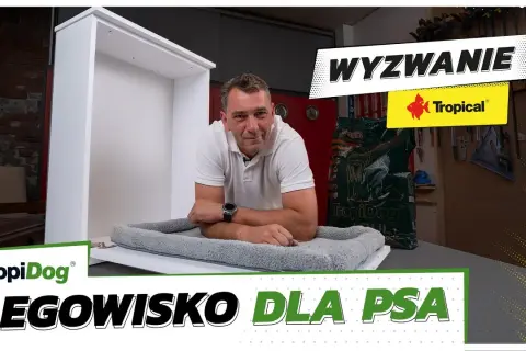 Jak zrobić legowisko dla psa - proste sposoby na wygodne posłanie