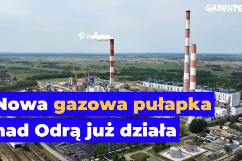 Elektrownia Dolna Odra: Jak gaz i OZE wzmocnią bezpieczeństwo Polski?