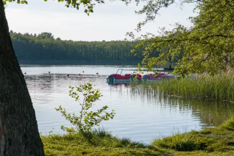 Czyste jezioro z łódkami w kształcie samochodów, otoczone zielenią i lasem.