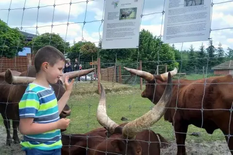 Najlepsze atrakcje w Borysewie, które zachwycą całą rodzinę