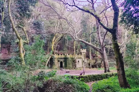 Un castillo de piedra cubierto de musgo se alza en el **bosque encantado de Aldán**, rodeado de árboles frondosos y vegetación exuberante.