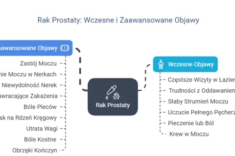 Rak prostaty: objawy, czynniki ryzyka i diagnostyka. Jak rozpoznać?