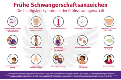 Frühe Schwangerschaftsanzeichen: Müdigkeit, Übelkeit, Brustspannen, veränderter Ausfluss, Kopfschmerzen, Nasenverstopfung, Blähungen, metallischer Geschmack, Empfindlichkeit gegenüber Gerüchen, Stimmungsschwankungen, häufiger Harndrang, leichte Krämpfe...