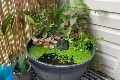 Kleiner Miniteich auf dem Balkon mit üppiger Bepflanzung und einem Wasserfall.