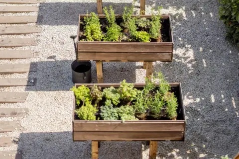 Dos mesas de cultivo con hierbas aromáticas y plantas verdes. Ideal para saber qué se puede plantar en una mesa de cultivo y tener un huerto urbano.