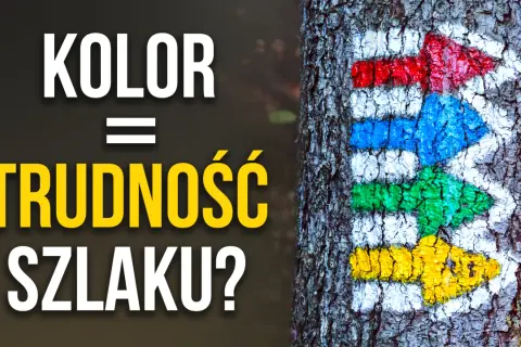 Kolorowe strzałki szlaku turystycznego namalowane na korze drzewa.